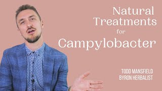 Natural Campylobacter Infection Treatment Herbal Medicine and the Gut [upl. by Vokay]