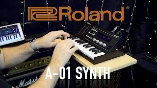 Roland A01  Synth MIDI Controller amp Sound Generator [upl. by Zoe526]