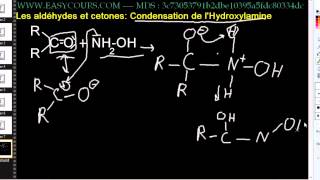 t Condensation de LHydroxylamine [upl. by Tekcirc]