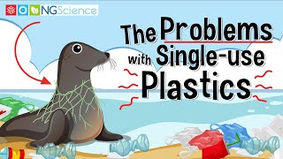 The Problems with Singleuse Plastics [upl. by Siuqram]