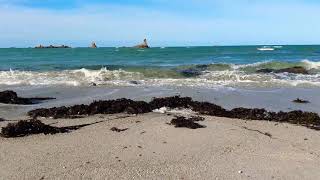 Marche en bord de mer [upl. by Kannan]