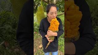 Enjoy Beautiful Yellow Jackfruit [upl. by Guadalupe950]