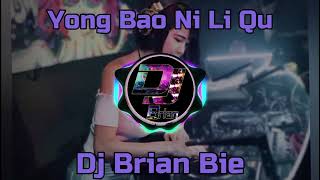 Yong Bao Ni Li Qu 擁抱你離去 Remix By Dj Brian Bie [upl. by Maxie895]