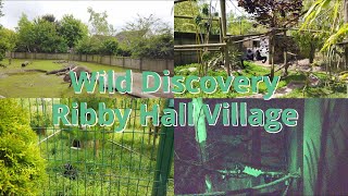 Wild Discovery Ribby Hall Village [upl. by Jarin]