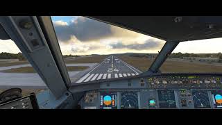 Approach amp Landing RWY24 LIRNNAP  Napoli flightsimulator [upl. by Akihsan]