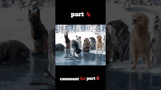 dog movie part 4 shorts movieexplainedinhindi [upl. by Mauer]