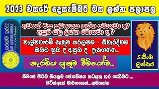 Singha Lagnaya සිංහ ලග්නය  Leo prediction for December 2023 [upl. by Divadnahtanoj]