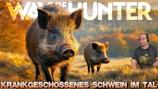 KRANKGESCHOSSENES Wildschwein im TAL  Way of the Hunter [upl. by Paderna29]