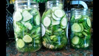 Garlic Dill Refrigerator Pickles Super Simple Recipe [upl. by Areis]