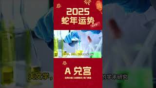 【奇门大众占卜】2025年整体运势  选项A  财运、事业、感情、健康、学业 运势详解  最精准的流年策略抢先看！ [upl. by Llenehs242]