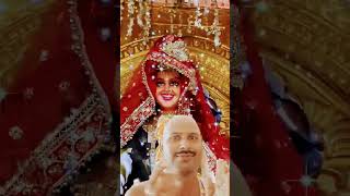 Taali bjao maiya ji ke liye dancedanceSHREEKANHARItrendingyoutube youtubeshortsytviralshorts [upl. by Parrott]