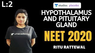 L2 Hypothalamus and Pituitary Gland  Endocrine System  Premedical  NEETAIIMS  NEET 2020 [upl. by Lukas]