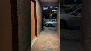 Guess Who Showed Up in the Alley funny shortvideos fypシ゚viral short shorts shortvideo [upl. by Thetis977]