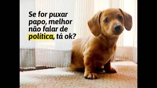 Cia Animal  Politica no elevador [upl. by Sacttler]