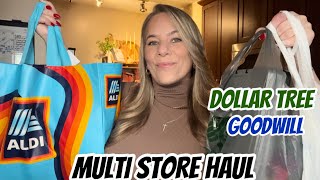 MULTI STORE HAUL  DOLLAR TREE  GOODWILL  ALDI  NEW ITEMS [upl. by Ester]