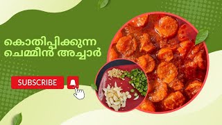 prawns pickle chemmeen achar  the ummis kitchen [upl. by Nedyaj485]