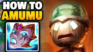 AMUMU Jungle how to CARRY  Season 14 [upl. by Hartmunn381]