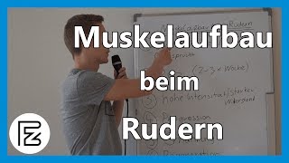 MUSKELAUFBAU durch RUDERN  Muskelaufbau zuhause [upl. by Acsot857]