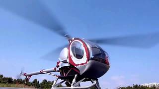 HobbyWOW FLYPRO 300C Smart RC Helicopter [upl. by Ephram]