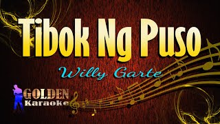 Tibok Ng Puso  Willy Garte  KARAOKE VERSION [upl. by Eben]