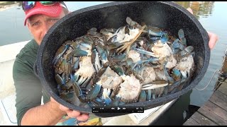 killing and cleaning live crabs humanely [upl. by Aerdnak]