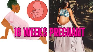 16 WEEKS PREGNANT WHAT TO EXPECT WEEK BY WEEK [upl. by Dickens]