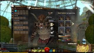 Guild Wars 2  Total Makeover Kit Demonstration New Gem Store Items [upl. by Stewart]