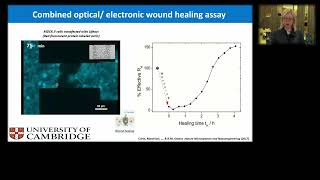 Bioelectronics sample lecture [upl. by Ytsanyd237]