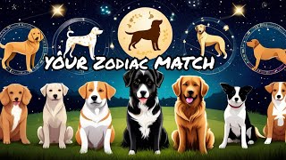 Best Dog Breed For Your Zodiac Sign [upl. by Yentterb298]