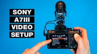 How to Setup Your Camera for Video — Sony A7III Tutorial [upl. by Nodrog]