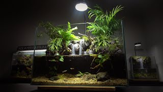 Setup Guppy Fish Aquaterrarium l Use Plastic Kettle to make aquarium l movable plants [upl. by Ahsinet135]