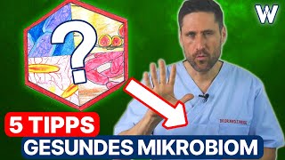 5 Tipps für ein gesundes Mikrobiom Stärken Sie Ihre Darmflora für ein funktionierendes Immunsystem [upl. by Ppilihp]