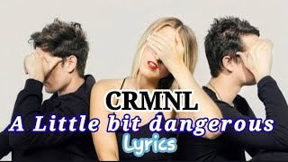 CRMNL  A Little bit dangerous  Lyrics  Bee Symphony [upl. by Carpet]