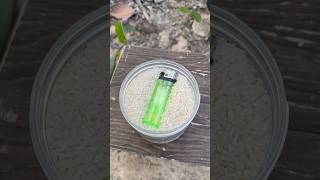 single mom show skills keep the lighter in wild bushcraft outdoor camping survival lifehacks [upl. by Ikciv159]