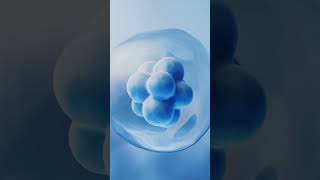 CRISPR The Future of NanoBiotechnology [upl. by Daughtry]