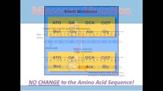 Substitution Mutations [upl. by Minsat324]