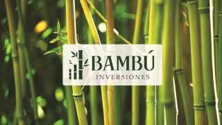 Bambú Inversiones  1 de 6  Introducción  Inversiones en Franquicias en México [upl. by Emiolhs]