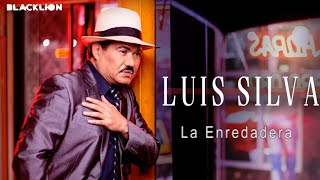 Luis Silva  La Enredadera Audio Oficial [upl. by Sanfourd]