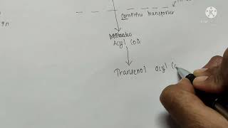 BETA OXIDATION OF FATTYACID IN 5 MIN EASY [upl. by Lateh]