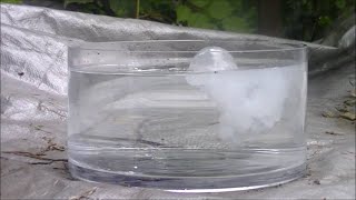 Alkaline Earth Metals In Water  Interesting Chemical Reaction  SCIENCE [upl. by Daht]