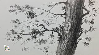 How to draw Tree Branches Art [upl. by Ainivad83]