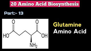 Glutamine Amino Acid  Amino Acid Biosynthesis  Microbial Metabolism  Microbiology in Marathi [upl. by Allerus338]