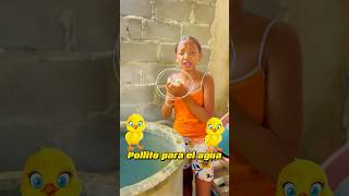 Pollito para el agua 😳 shortvideo drama [upl. by Ahsikam463]