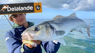 Pêche du Bar aux leurres souples 🎣 Test des nouveautés Delalande pour la Mer Partie 12 [upl. by Thomasina]