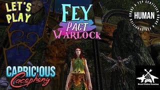 DDO Fey Pact Warlock Build and Review [upl. by Anirrak265]