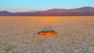 Alvord Desert amp Steens Mountain [upl. by Kus]