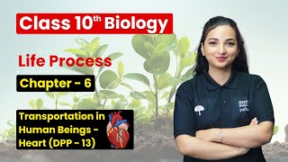 Life Processes  Transportation in human beings  Heart DPP Solution 13  Class 10 Biology [upl. by Nelle]