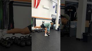 Dual Kettlebell Single Leg Romanian Deadlift [upl. by Oimetra125]