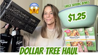 DOLLAR TREE HAUL  NEW  BRAND NAME ITEMS AMAZING FINDS [upl. by Ymled]