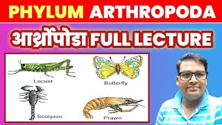 Arthropoda one shot lecture  Phylum Arthopoda best lecture  TGT202324 PGTBiology202324 [upl. by Keever]